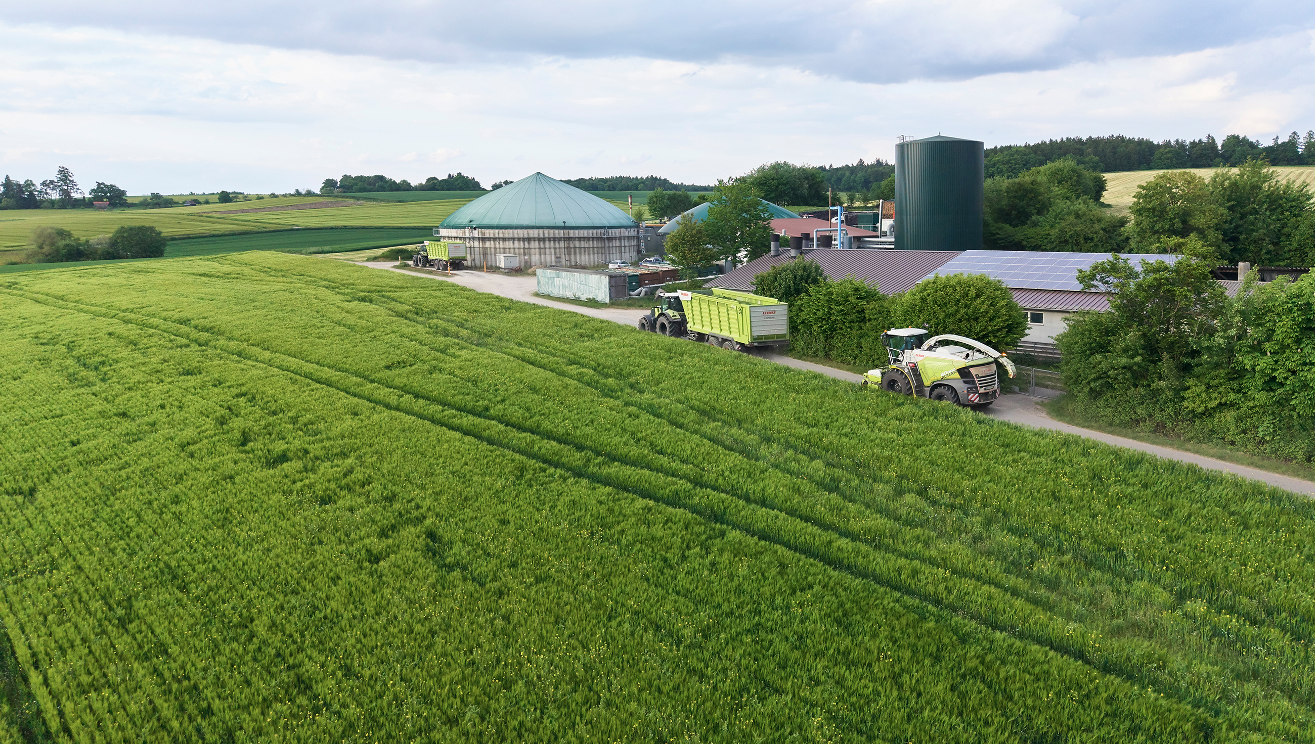 Hans-van-Bebber-gmbh-Referenzprojekt-Grosspufferspeicher-Bioenergie-Neidlinger-Rottal-Erntetransport-Gras-Silage-mit-Claas-Traktor-AXOS-und-Claas-Maehdrescher-Jaguar-800