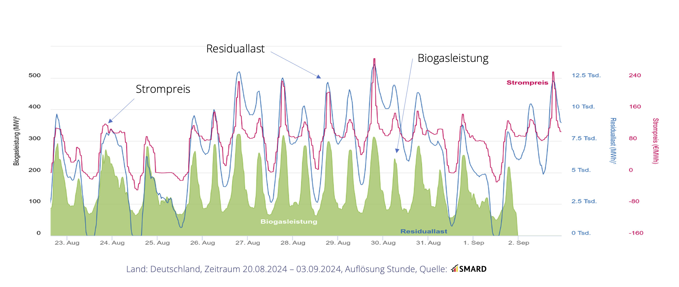 Hans van Bebber - Netz- und Systemdienlichkeit von flexibilisierten Biogasanlagen in Deutschland